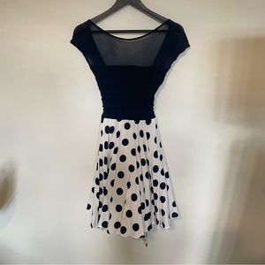 Vintage Mesh Polka Dot Dress